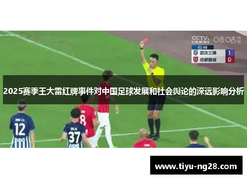 2025赛季王大雷红牌事件对中国足球发展和社会舆论的深远影响分析